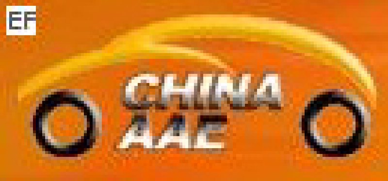 2008第六届中国(广州)国际汽车用品及汽车改装展<BR>汽车零部件展<br>汽车保修检测诊断设备展