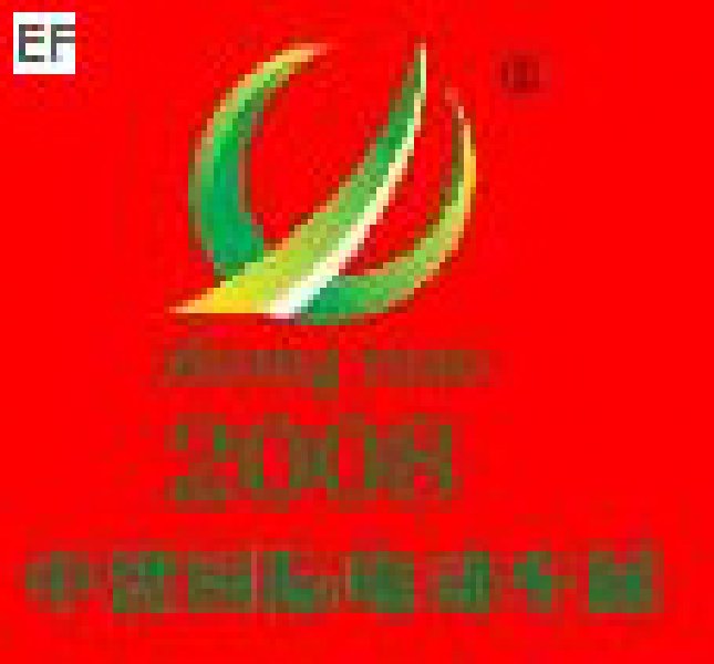 2008第五届中国(济南)国际自行车电动车展览会