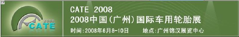 2008й()ʳ̥չ
