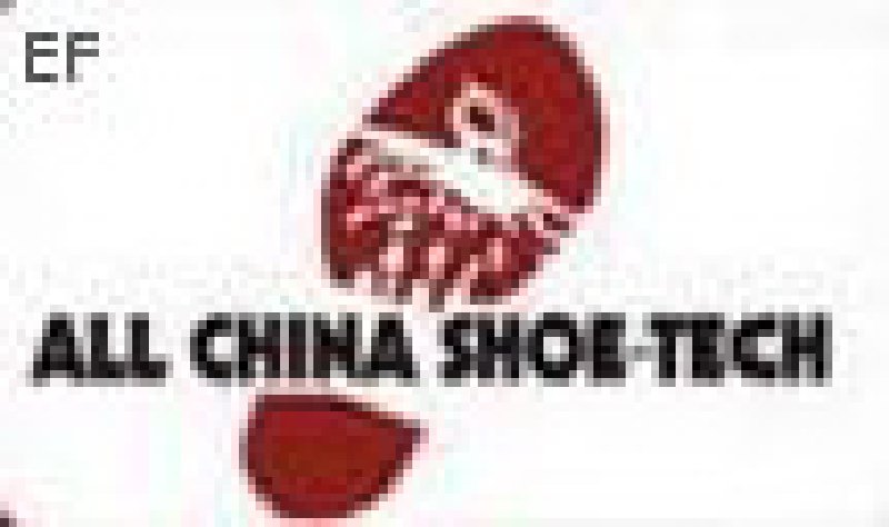 2008国际鞋类制造技术和材料展览会