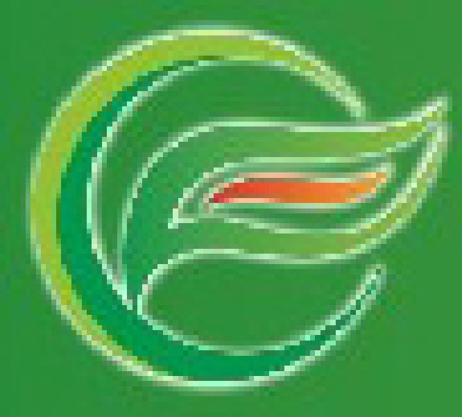 2010中国国际食品工业经贸洽谈会(中山、黄圃)