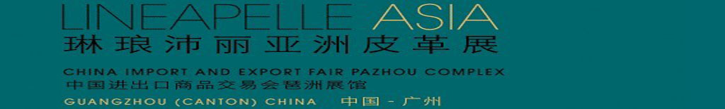 2010Ƥչ