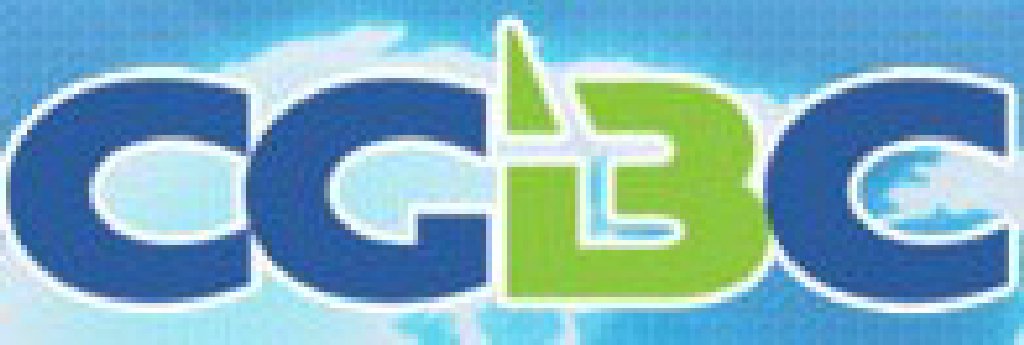 2011第九届中国游戏商务大会