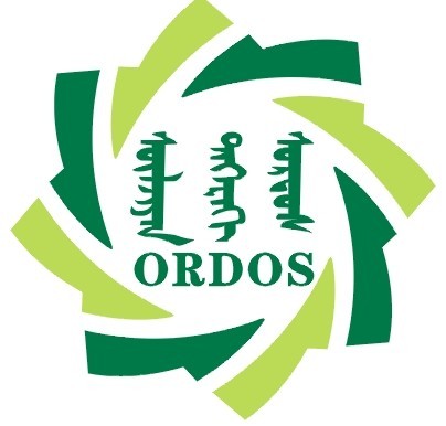 2013第八届中国鄂尔多斯国际煤炭及能源工业博览会