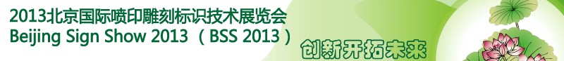 2013ӡ̱ʶչ