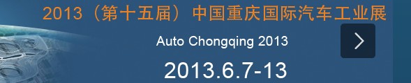 2013ʮйҵչ